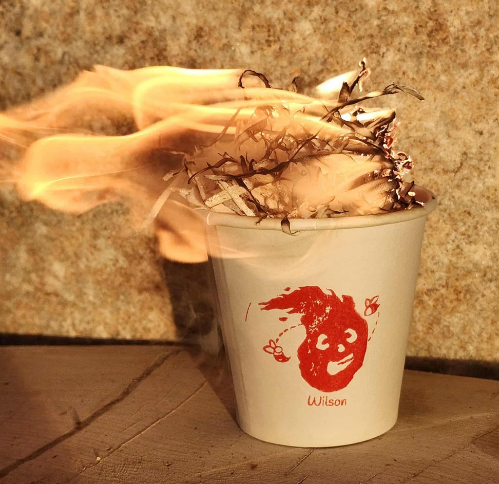 Wilson Fire Starter - 65 Pack