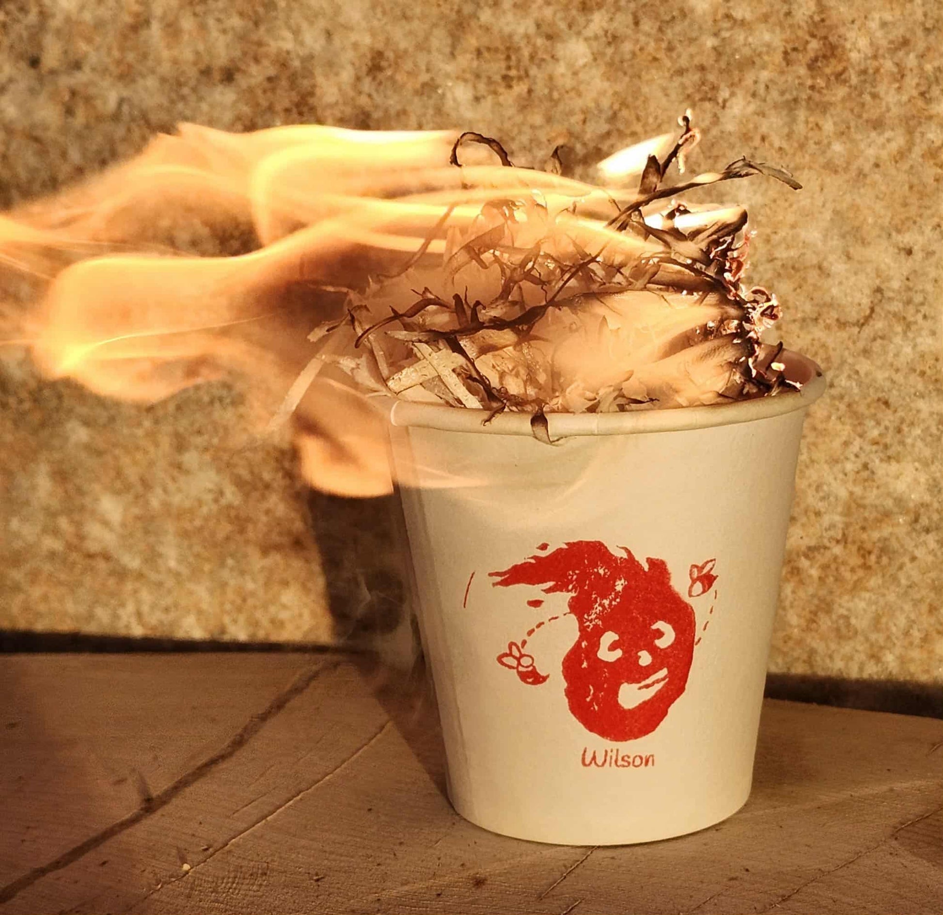 Wilson Fire Starter - 6 Pack