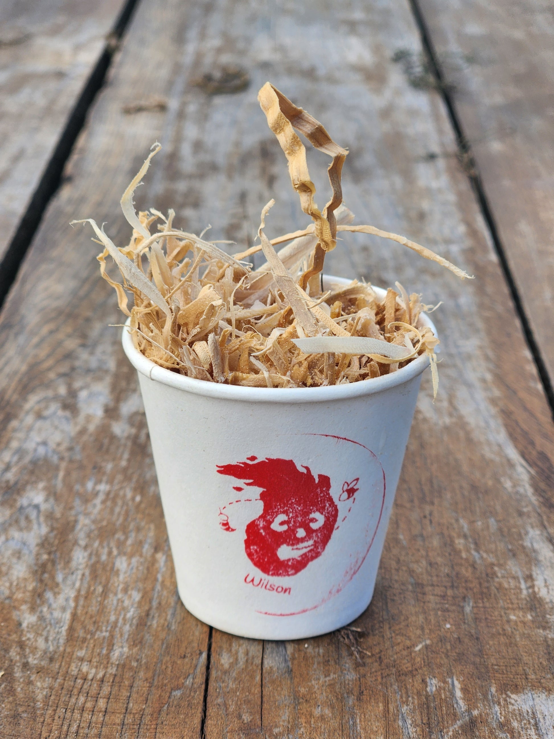 Wilson Fire Starter - 65 Pack